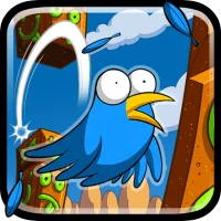 Pinchi Bird